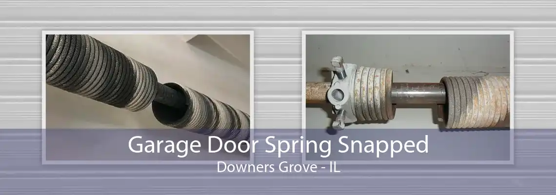 Garage Door Spring Snapped Downers Grove - IL